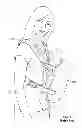 Fig. 02 - STRAP-ON CHILD CARRIER WITH SUPPORT SEATING ELEMENT
