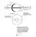 Fig. 06 - Flow cell for radiation detector