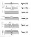 Fig. 06 - Package for high-power semiconductor devices