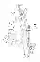 Fig. 02 - Shoe customization system having interchangeable platens