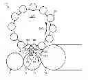 Fig. 01 - One-star system for feeding and discharging containers for processing machines