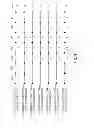 Fig. 05 - Apparatus and method for minimizing distribution loss in consideration of section load characteristics of distribution system