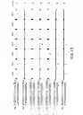 Fig. 11 - Apparatus and method for minimizing distribution loss in consideration of section load characteristics of distribution system