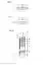 Fig. 07 - POWER RECEPTION DEVICE, POWER TRANSMISSION DEVICE AND POWER TRANSFER SYSTEM