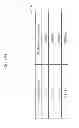 Fig. 303 - Information communication method of obtaining information from a subject by demodulating data specified by a pattern of a bright line included in an obtained image