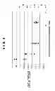 Fig. 07 - Test chart used for calibration in image forming apparatus
