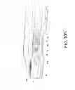 Fig. 49 - Housing for encasing a tablet computer