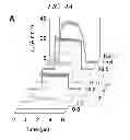 Fig. 06 - Ferroelectric memory device and method for manufacturing same
