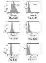Fig. 06 - Bipolar spin-transfer switching