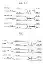 Fig. 09 - Sense amplifier circuit and semiconductor memory device