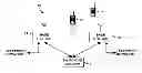 Fig. 01 - Method and device for maintaining the performance quality of a communication system in the presence of narrow band interference