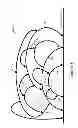 Fig. 02 - Flooding and multicasting in a loop-free routing topology using routing arcs