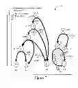 Fig. 22 - Flooding and multicasting in a loop-free routing topology using routing arcs