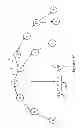 Fig. 28 - Flooding and multicasting in a loop-free routing topology using routing arcs