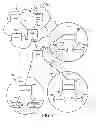 Fig. 08 - Methods and apparatus for supporting multiple connections