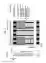 Fig. 05 - Method and device which obtains updated system information when a component carrier has changed