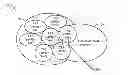 Fig. 01 - Methods and apparatus for voice domain operation