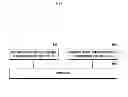 Fig. 07 - Method and apparatus for power control and multiplexing for device to device communication in wireless cellular communication system