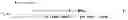 Fig. 09 - Transmission device and transmission method