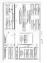Fig. 09 - Customer controlled video network