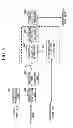 Fig. 06 - METHODS, APPARATUSES, AND PROGRAMS FOR ENCODING AND DECODING PICTURE
