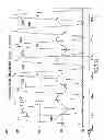 Fig. 131 - Apparatus and Method of Differential IQ Frequency Up-Conversion