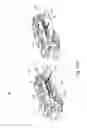 Fig. 29 - Image forming apparatus with lower and upper guide members