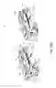 Fig. 30 - Image forming apparatus with lower and upper guide members