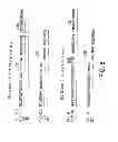 Fig. 11 - HUMAN CTLA-4 ANTIBODIES AND THEIR USES