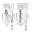 Fig. 18 - HUMAN CTLA-4 ANTIBODIES AND THEIR USES