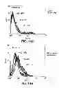 Fig. 19 - HUMAN CTLA-4 ANTIBODIES AND THEIR USES