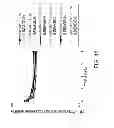 Fig. 49 - ANTIGEN-BINDING MOLECULE CAPABLE OF BINDING TO PLURALITY OF ANTIGEN MOLECULES REPEATEDLY