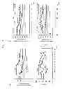 Fig. 02 - Acute hepatic insufficiency depressant and method for evaluating drug efficacy thereof