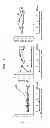 Fig. 06 - Acute hepatic insufficiency depressant and method for evaluating drug efficacy thereof