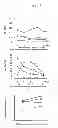 Fig. 07 - Acute hepatic insufficiency depressant and method for evaluating drug efficacy thereof