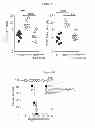 Fig. 07 - NKP46-MEDIATED NK CELL TUNING