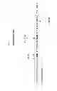 Fig. 02 - TOTAL SYNTHESIS AND IMMUNOLOGICAL EVALUATION OF SACCHARIDE MOIETIES OF THE LIPOPOLYSACCHARIDE FROM NEISSERIA MENINGITIDIS