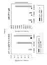 Fig. 09 - TOTAL SYNTHESIS AND IMMUNOLOGICAL EVALUATION OF SACCHARIDE MOIETIES OF THE LIPOPOLYSACCHARIDE FROM NEISSERIA MENINGITIDIS