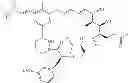 Fig. 167 - Dosage form