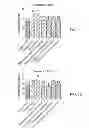 Fig. 09 - Method for treating intestinal fibrosis