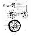 Fig. 06 - Super paramagnetic iron oxide nanoparticles with metallic coatings and a method of synthesizing the same