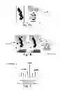 Fig. 02 - Methods and products for in vivo enzyme profiling