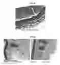 Fig. 09 - Topical Composition for Stimulating Epidermis and Dermis Layers of the Skin