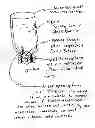 Fig. 01 - Iron supplement composition