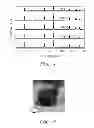 Fig. 02 - Metal Fluoride Electrode Protection Layer and Method of Making Same