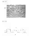 Fig. 03 - PRINTING SHEET AND MOLD SHEET FOR FORMING PRINTING SURFACE ON THE PRINTING SHEET