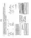 Fig. 02 - Methods of patterning block copolymer layers and patterned structures