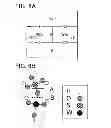 Fig. 07 - Peeling method, semiconductor device, and peeling apparatus