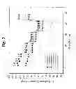 Fig. 08 - LAYER-LAYER LITHIUM RICH COMPLEX METAL OXIDES WITH HIGH SPECIFIC CAPACITY AND EXCELLENT CYCLING