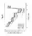 Fig. 09 - LAYER-LAYER LITHIUM RICH COMPLEX METAL OXIDES WITH HIGH SPECIFIC CAPACITY AND EXCELLENT CYCLING